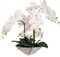 23" White Phalaenopsis Orchid - Faux Flowers, White Ceramic Vase, Elegant Decor for Home, Office, & Events - Perfect for Year-Round Display, Floral Home by Artificial Flowers